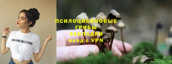 PSILOCYBIN Зеленокумск