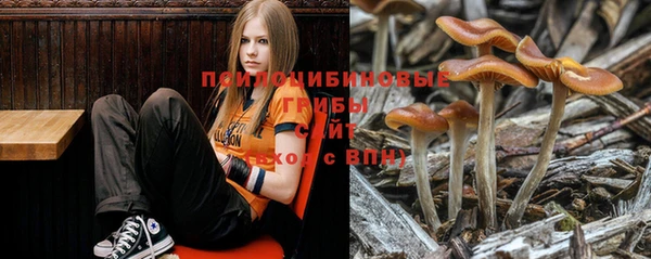 мдпв Зерноград