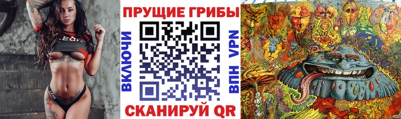 Купить закладки  Весьегонск  Псилоцибиновые грибы мухоморы 